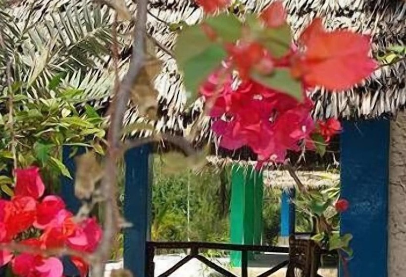 فندق Twisted Palms Lodge & Restaurant