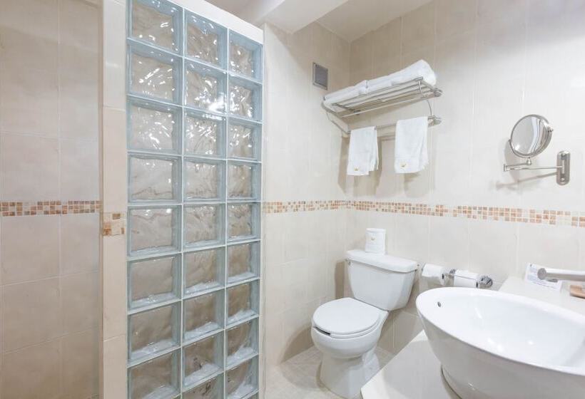 Отель Victoria Merida