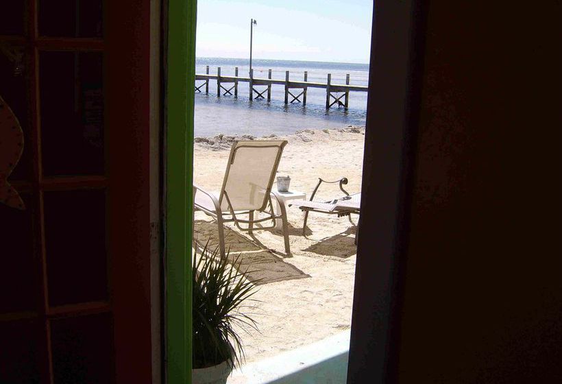 فندق White Sands Inn 