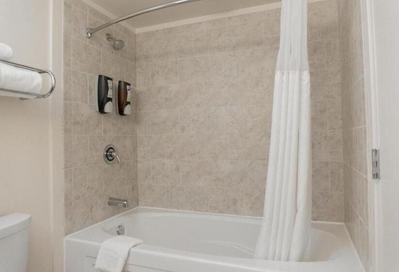 호텔 Chicago South Loop