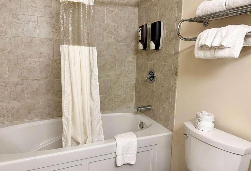 호텔 Chicago South Loop