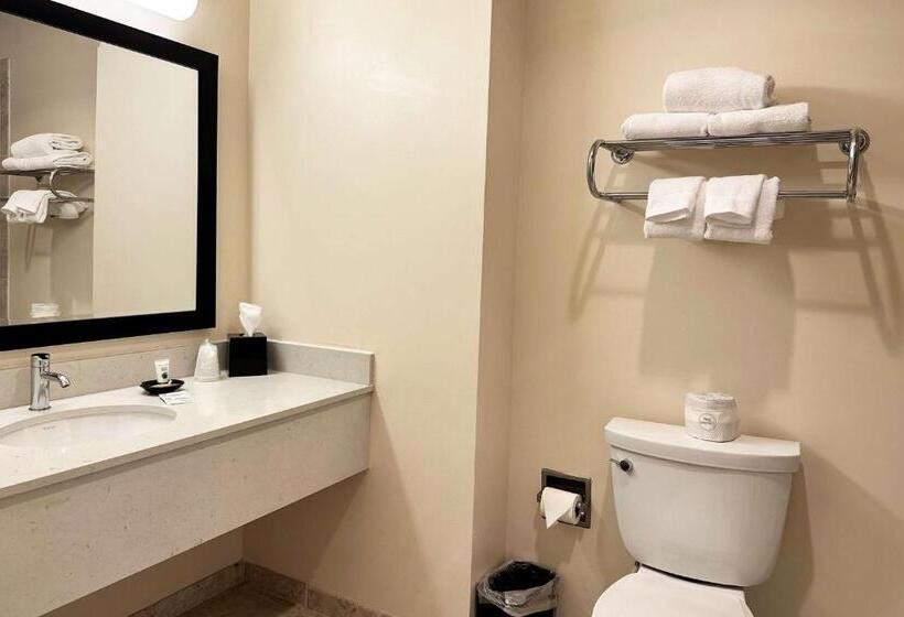 호텔 Chicago South Loop