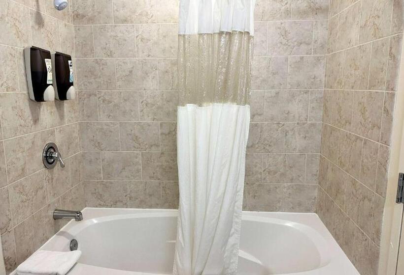 호텔 Chicago South Loop