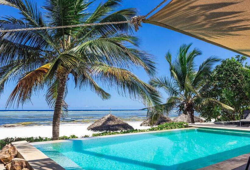 호텔 Zoi Beach House