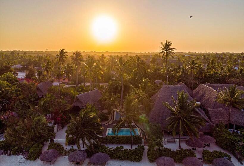 호텔 Zoi Beach House