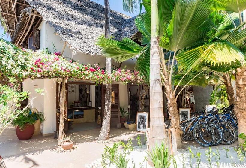 호텔 Zoi Beach House