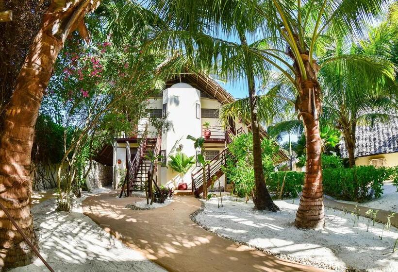 호텔 Zoi Beach House