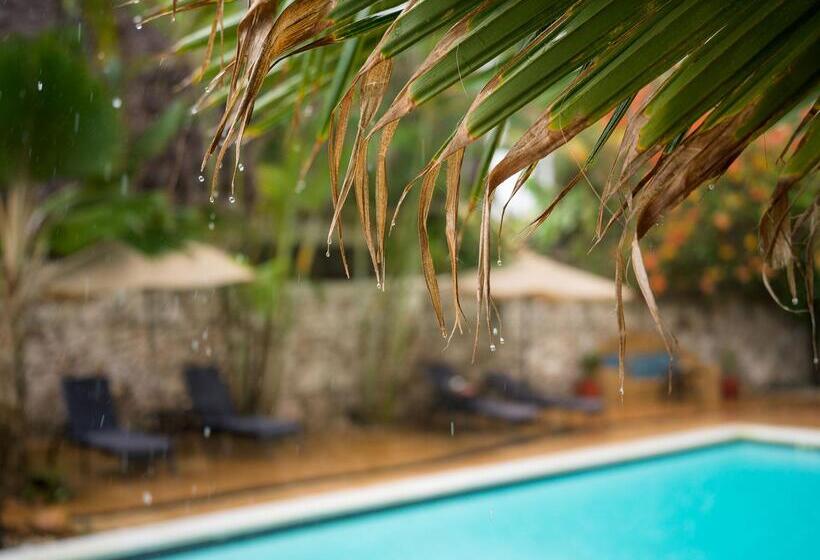 호텔 Zoi Beach House