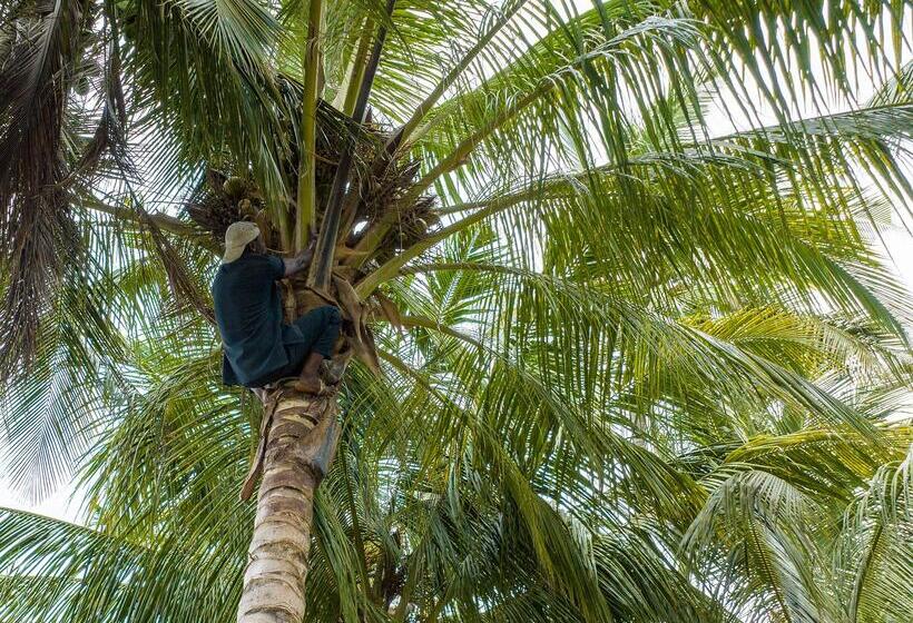 호텔 Zoi Beach House