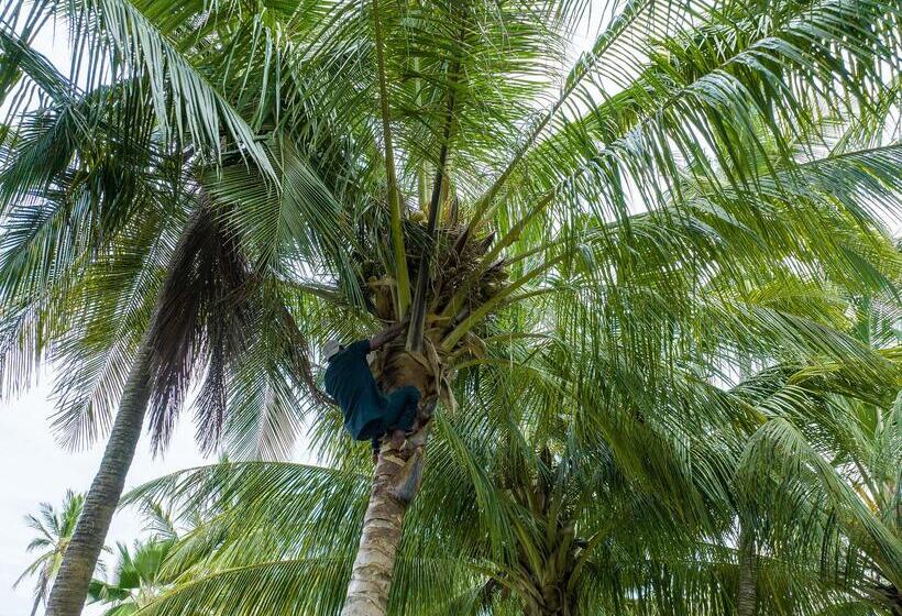 호텔 Zoi Beach House