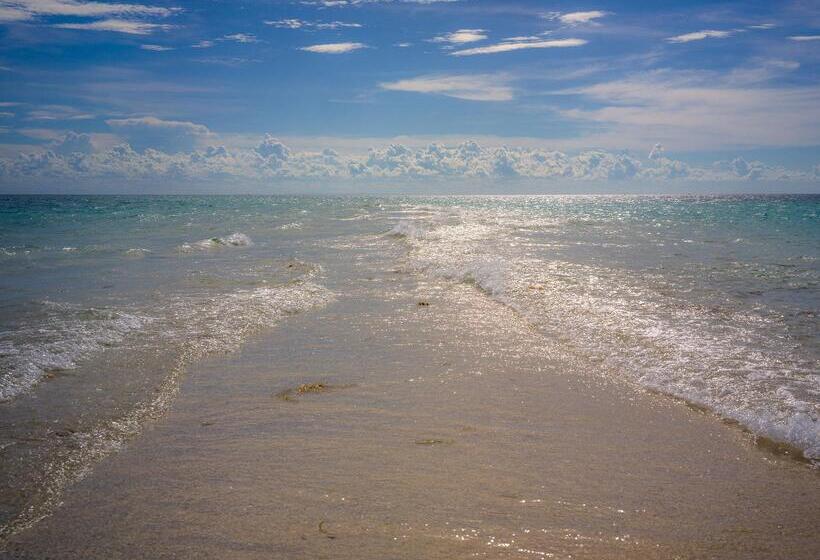 호텔 Zoi Beach House