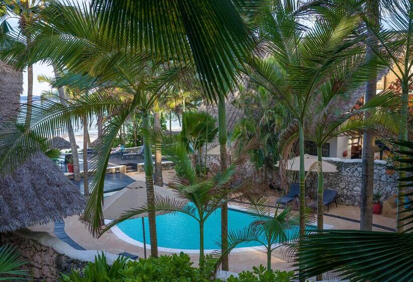 호텔 Zoi Beach House