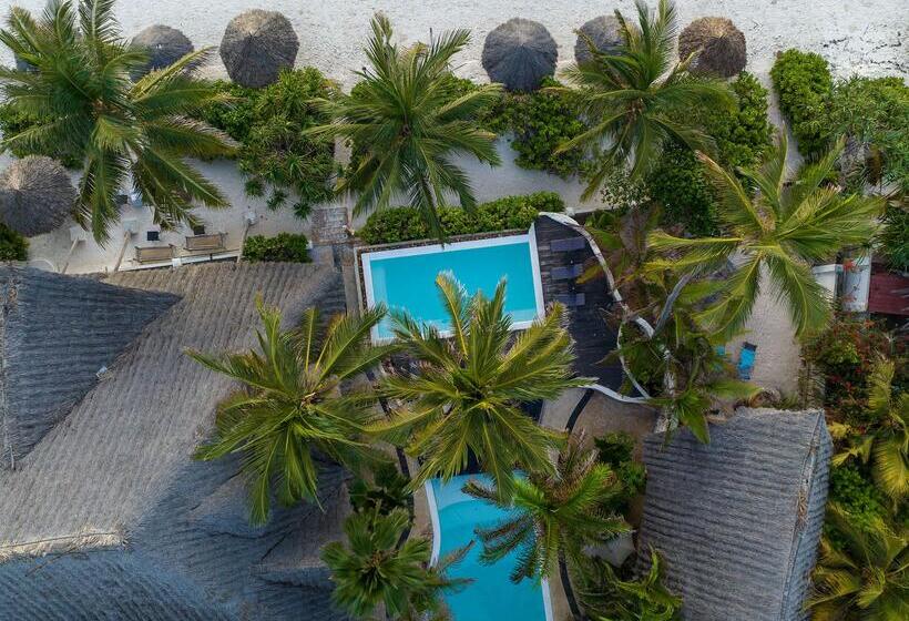 호텔 Zoi Beach House