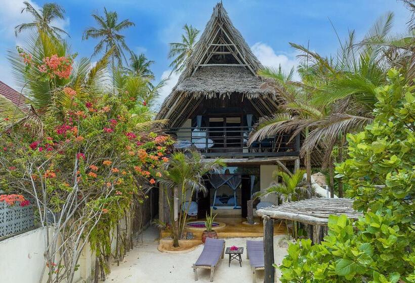 호텔 Zoi Beach House