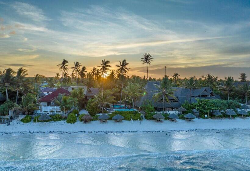 호텔 Zoi Beach House