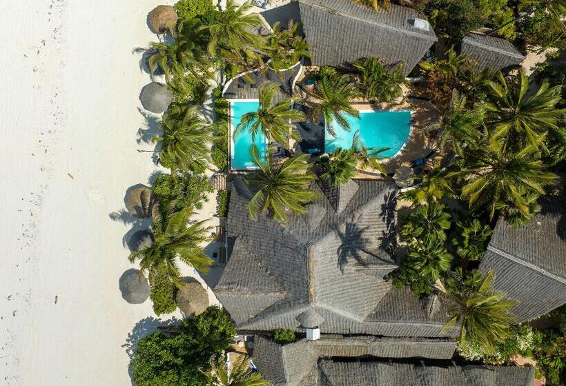 호텔 Zoi Beach House