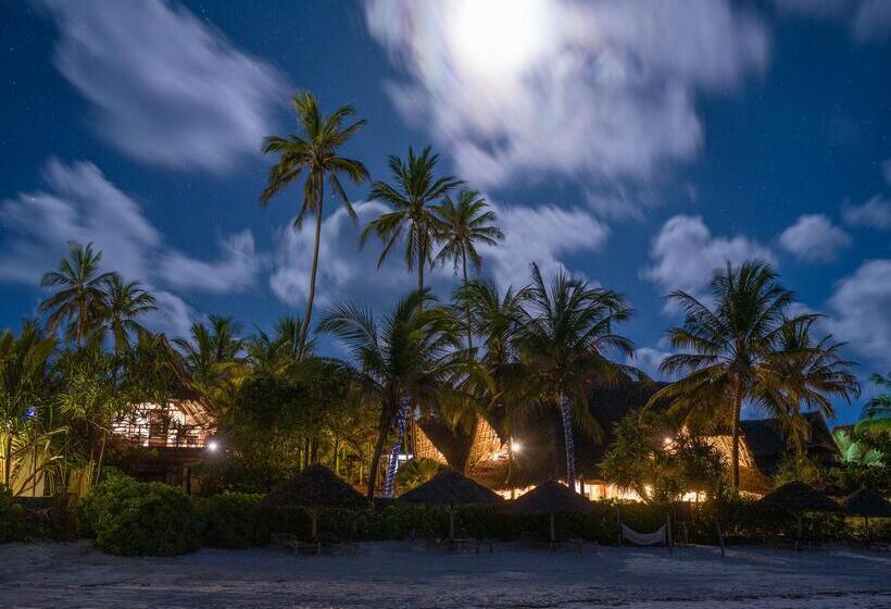 호텔 Zoi Beach House