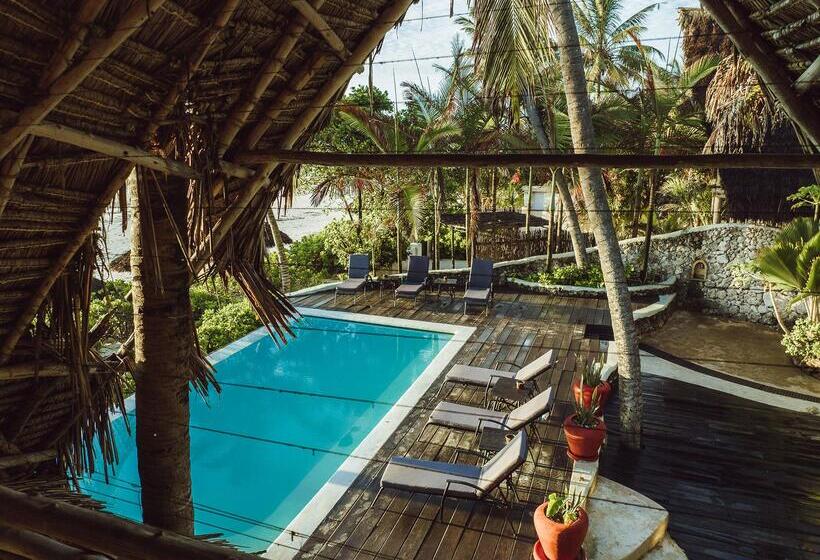 호텔 Zoi Beach House