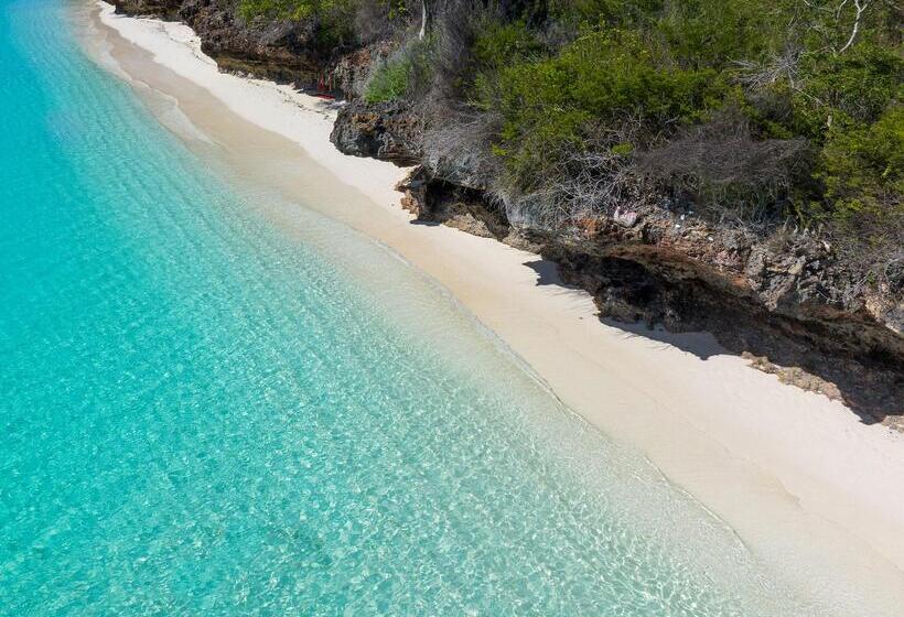 호텔 Zoi Beach House