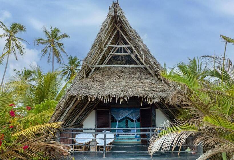 호텔 Zoi Beach House