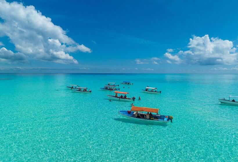 호텔 Zoi Beach House