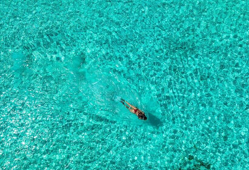 호텔 Zoi Beach House