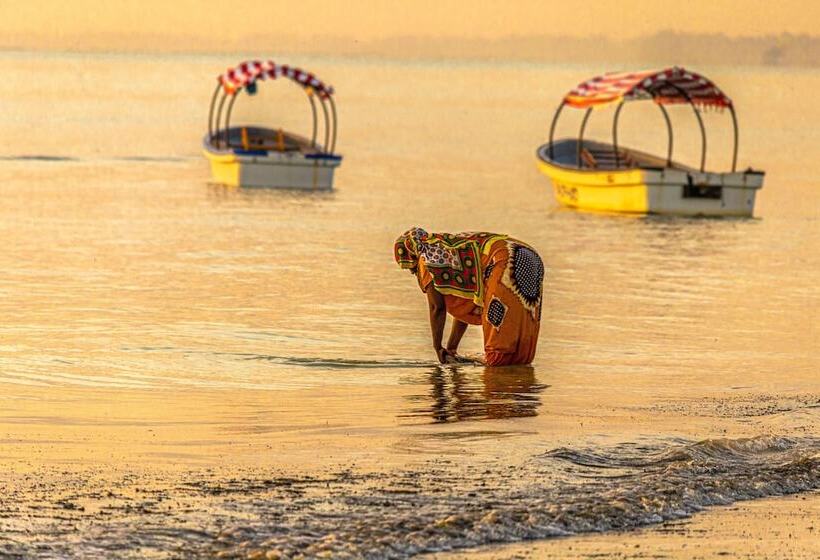 호텔 Zoi Beach House