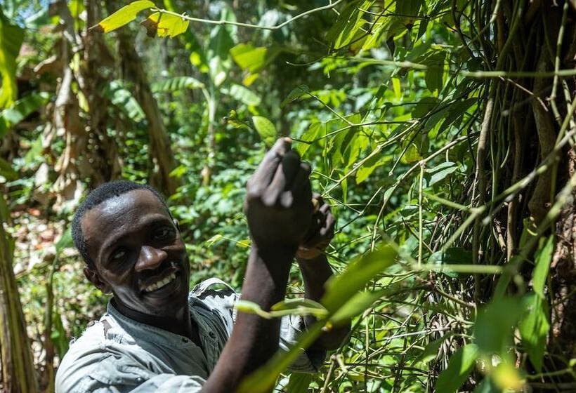 호텔 Zoi Beach House