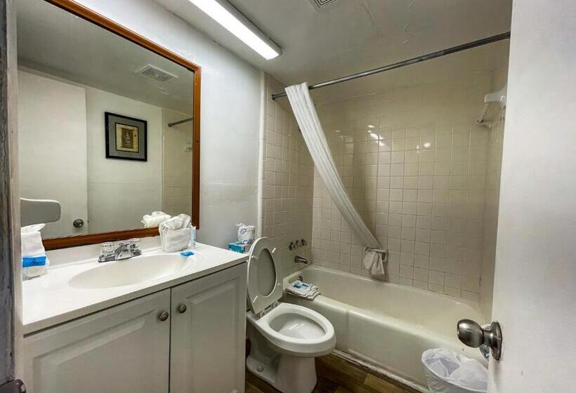 Oceanfront Viking Motel