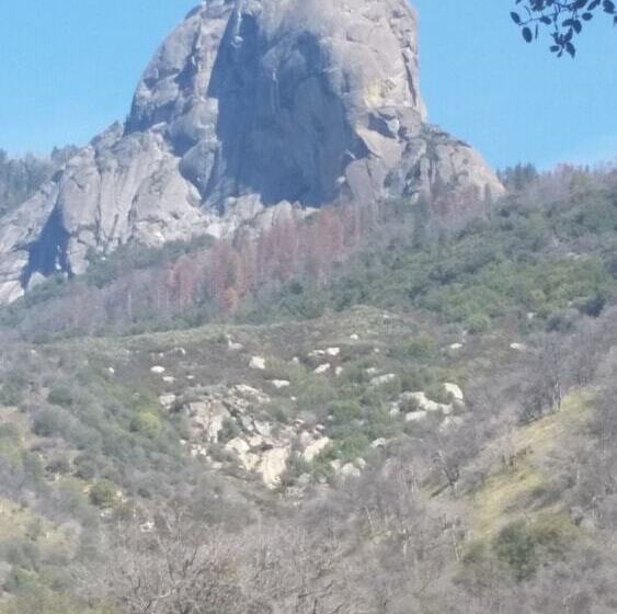 민박 The Parks Inn