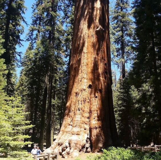 민박 The Parks Inn