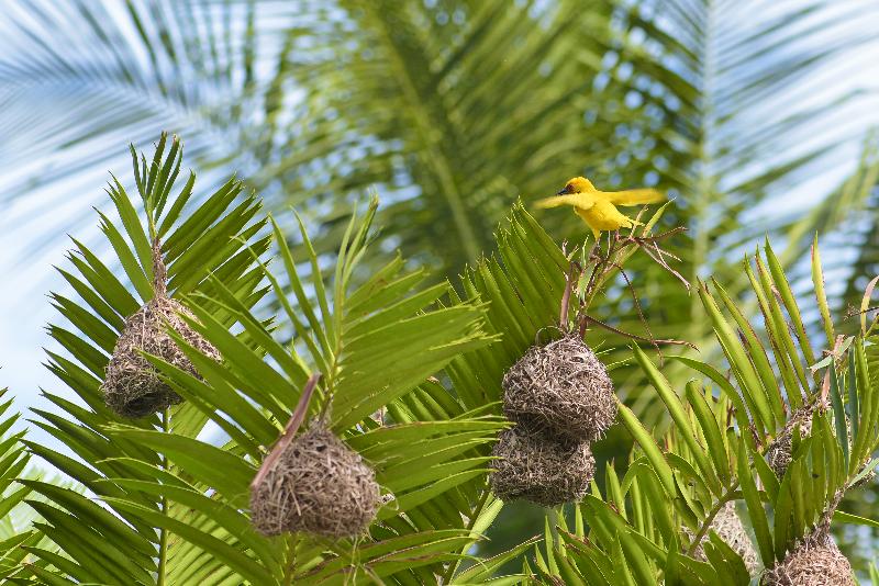 استراحتگاه Hakuna Majiwe Beach Lodge