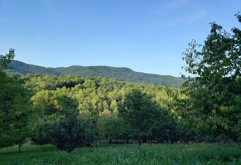 Blue Ridge Manor B&b