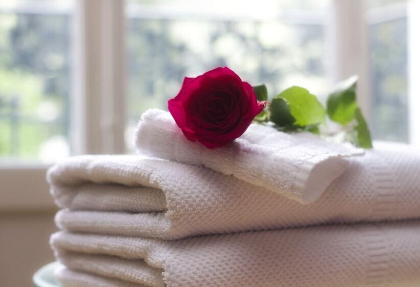 Blue Ridge Manor B&b