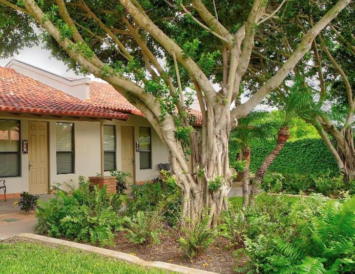 The Bungalows On Shary, Mission Mcallen