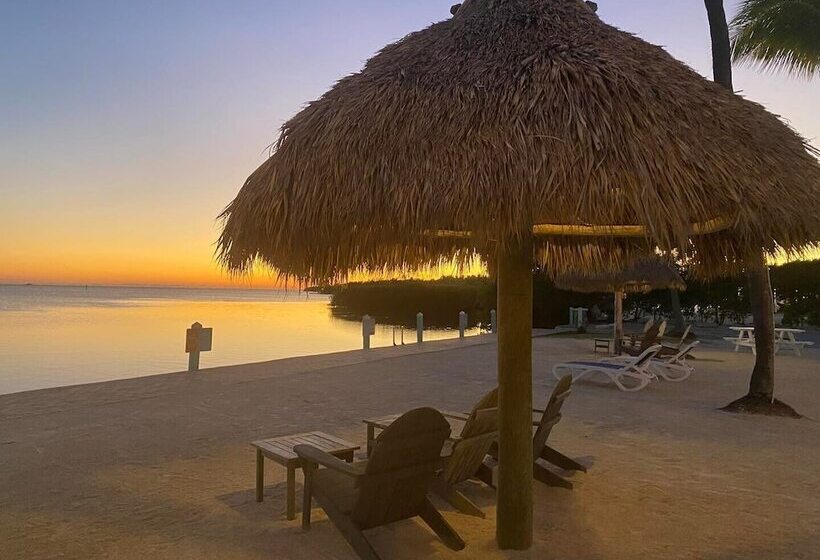 Drop Anchor Resort & Marina