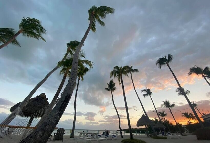 Drop Anchor Resort & Marina