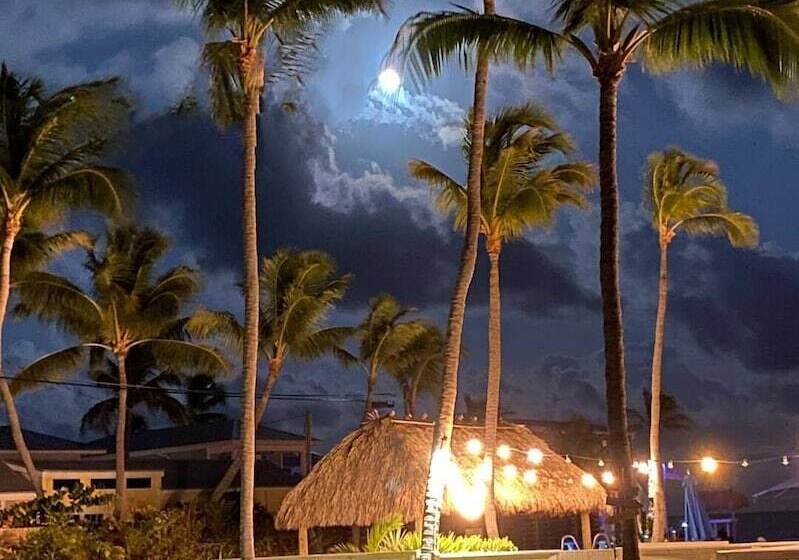 Drop Anchor Resort & Marina