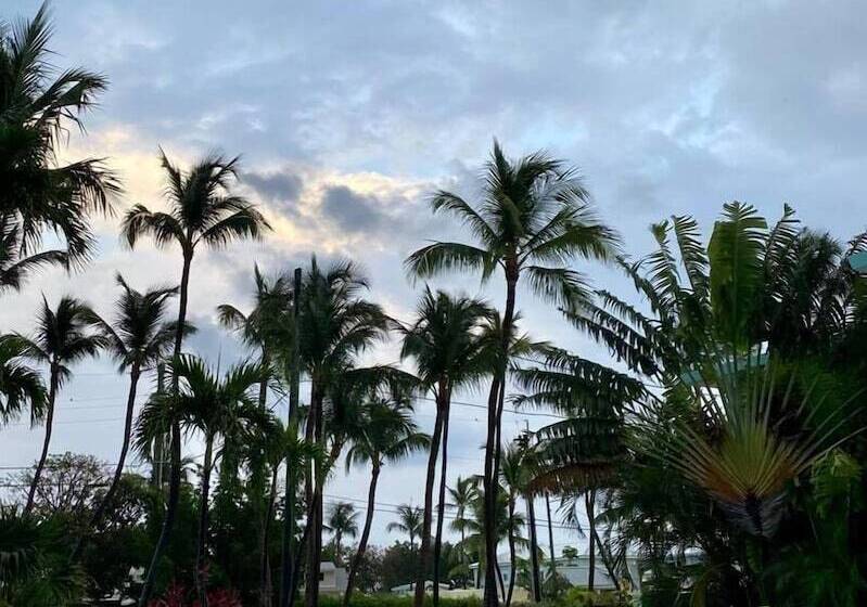 Drop Anchor Resort & Marina