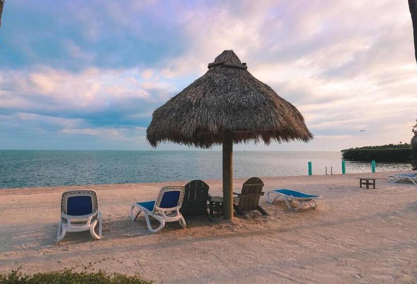 Drop Anchor Resort & Marina