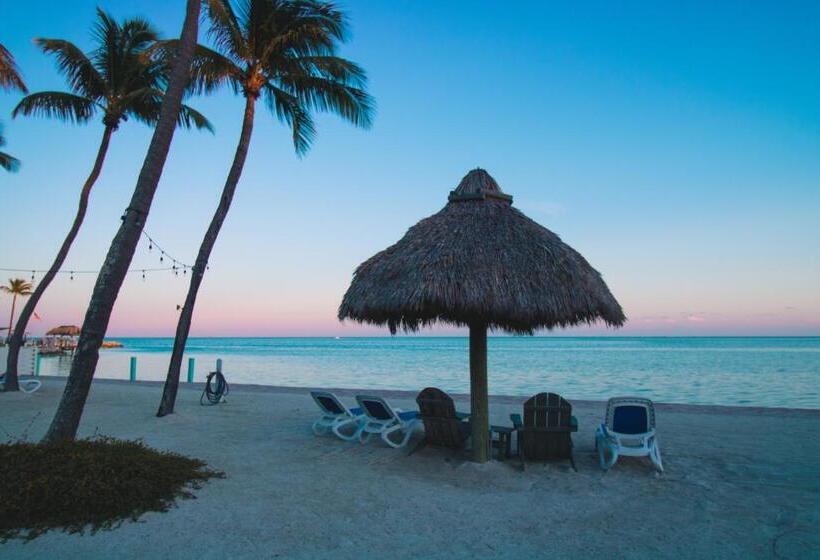 Drop Anchor Resort & Marina