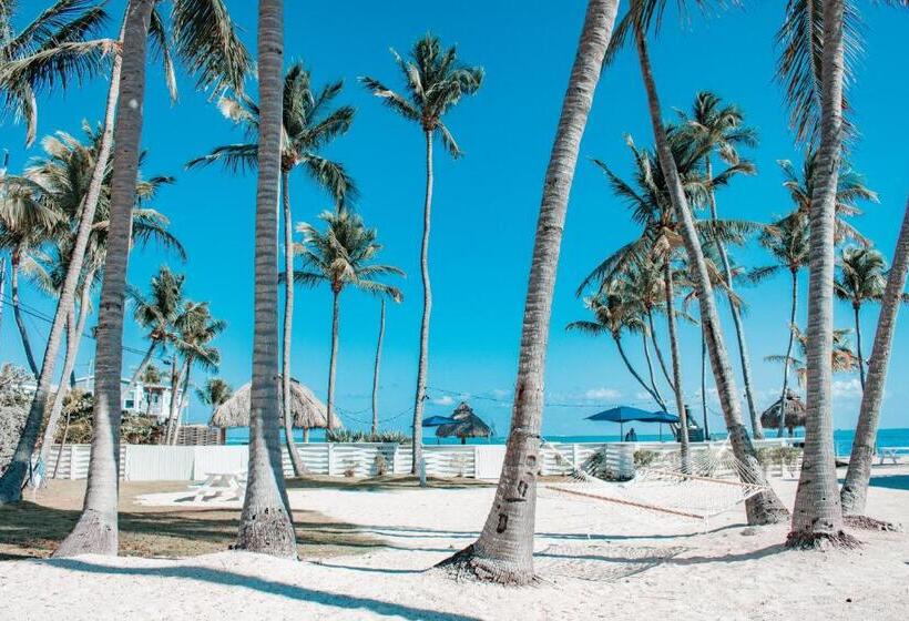 Drop Anchor Resort & Marina