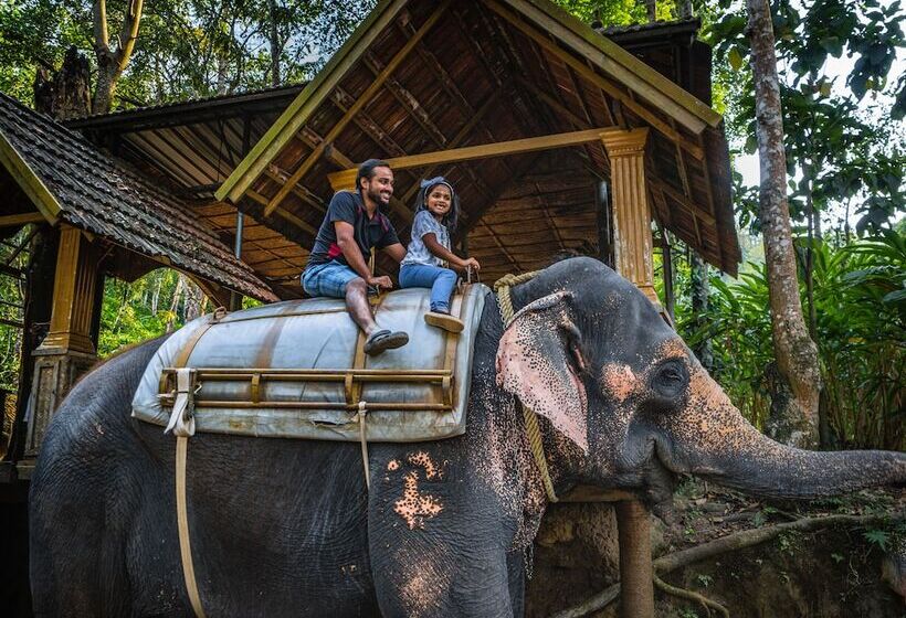 فندق Amritara Shalimar Spice Garden Resort & Spa