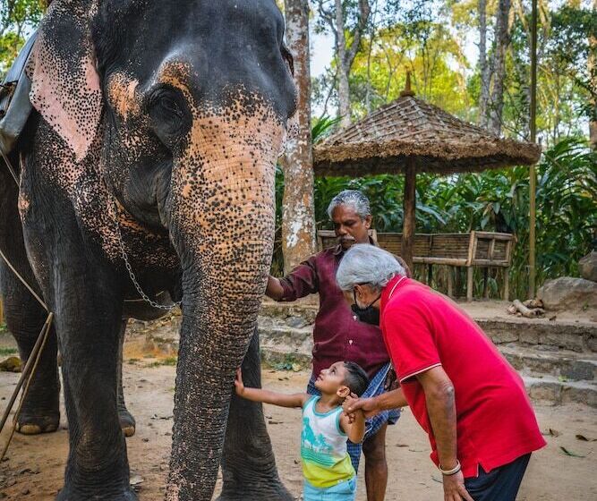 فندق Amritara Shalimar Spice Garden Resort & Spa