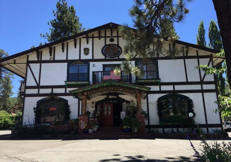 酒店 Black Forest Lodge