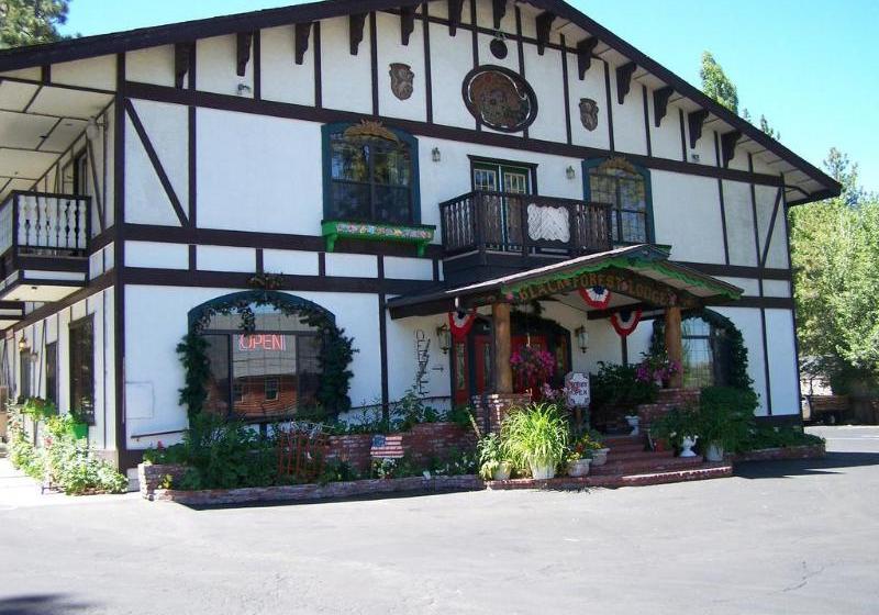 酒店 Black Forest Lodge