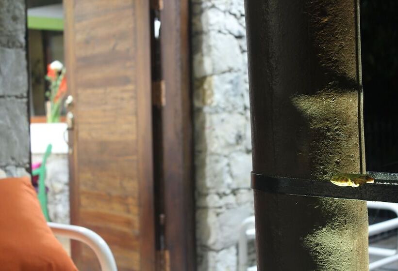 فندق Boutique La Casona De Don Porfirio