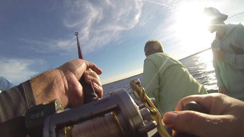 בית מלון כפרי Cherry Tree Inn & Suites