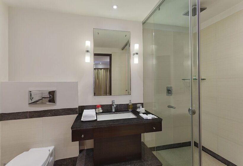 酒店 City Heart Sarovar Portico