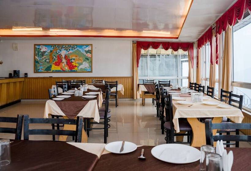 酒店 Doma Residency